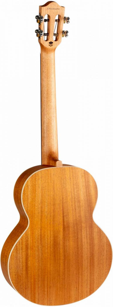 Изображение товара Укулеле Flight Iris Tenor BK