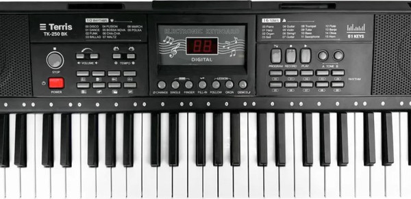 Изображение товара Синтезатор Terris TK-250 BK
