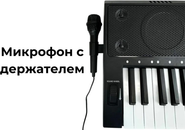 Изображение товара Синтезатор Terris TK-250 BK