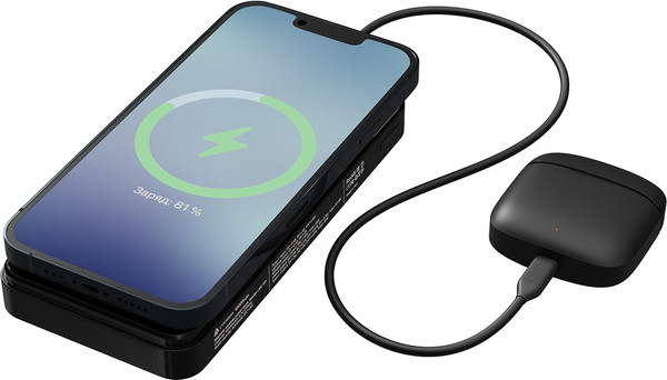 Изображение товара Портативное зарядное устройство Lyambda LWC-101