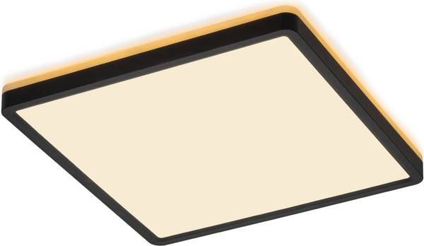 Изображение товара Потолочный светильник Citilux Norma CL748K301