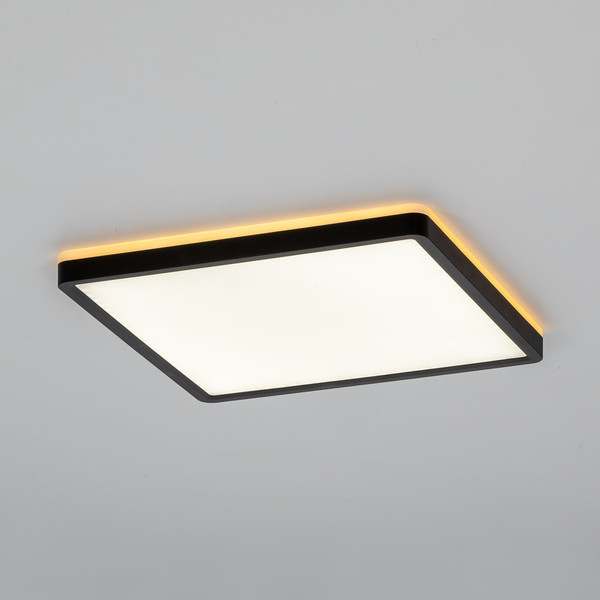 Изображение товара Потолочный светильник Citilux Norma CL748K301