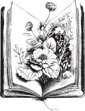 Изображение товара Книга АСТ Клуб Романтики. Тени Сентфора. Лагерь потерянных душ (Моро Агата,  твердая обложка)