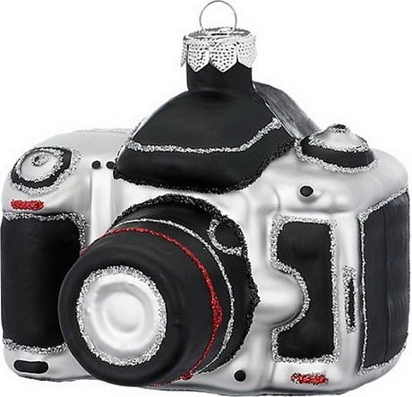 Изображение товара Елочная игрушка Inge's Christmas Figural Glass Ornaments. Фотоаппарат / 64677H120