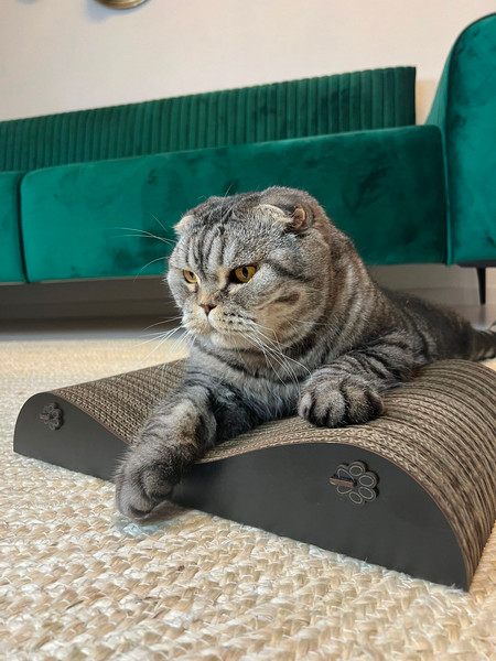 Изображение товара Лежанка-когтеточка Woodary Волна / 4007 (черный)