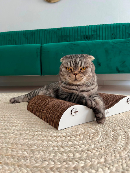 Изображение товара Лежанка-когтеточка Woodary Волна / 4006 (белый)