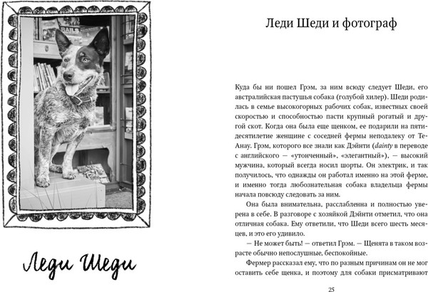 Изображение товара Книга КоЛибри Собаки книжного магазина на краю света, твердая обложка (Шоу Рут )