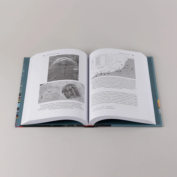 Изображение товара Книга Альпина История Земли в 25 камнях, твердая обложка (Протеро Дональд)