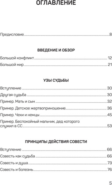 Изображение товара Книга Питер Большой конфликт, твердая обложка (Хеллингер Берт)