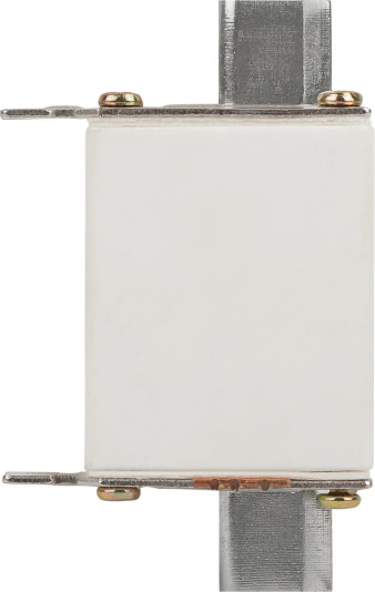 Изображение товара Предохранитель плавкий ЭРА Pro ppn-33-00С-100 ППН-33 / Б0063953