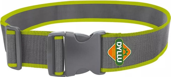 Изображение товара Пояс для инструмента DYLLU DTTG1100