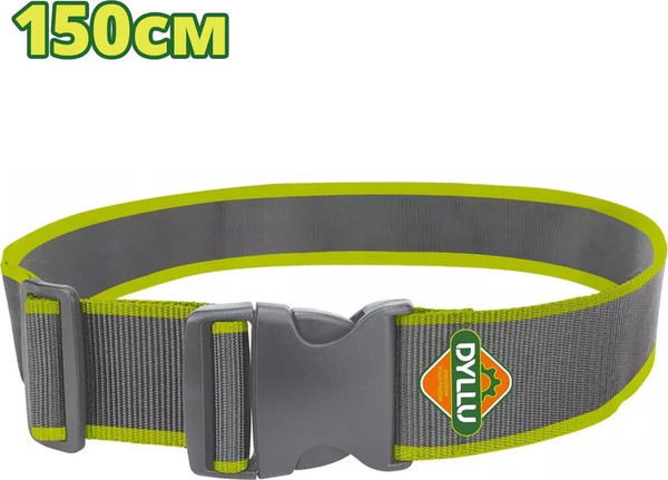 Изображение товара Пояс для инструмента DYLLU DTTG1100