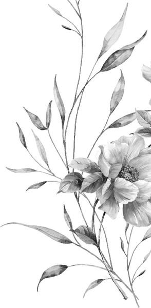 Изображение товара Книга Эксмо Женский Портрет, твердая обложка  (Джеймс Генри)