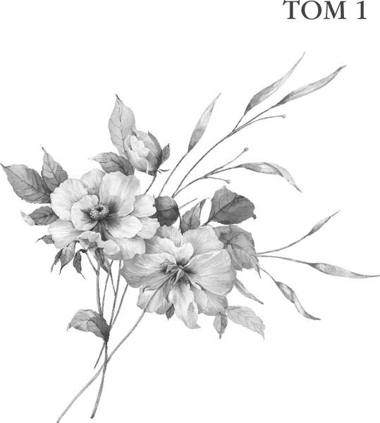 Изображение товара Книга Эксмо Женский Портрет, твердая обложка  (Джеймс Генри)