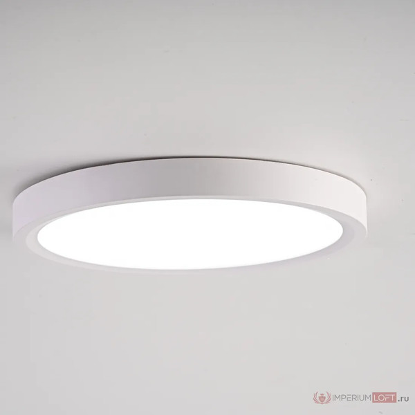 Изображение товара Потолочный светильник Imperiumloft SLIM01 / 141008-26