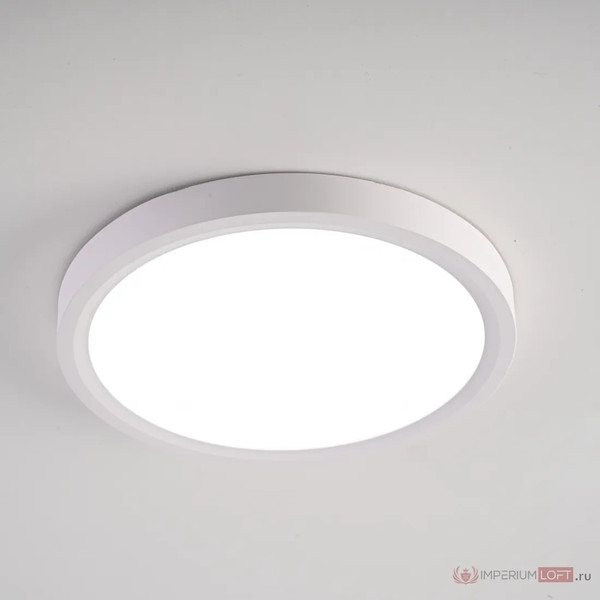 Изображение товара Потолочный светильник Imperiumloft SLIM01 / 141008-26