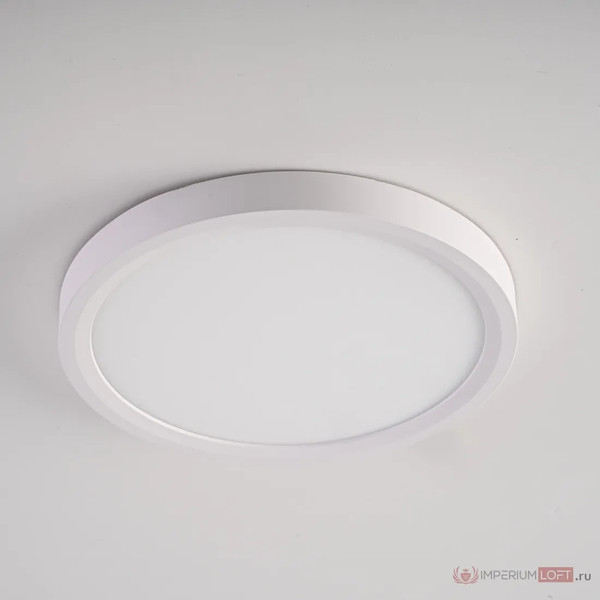 Изображение товара Потолочный светильник Imperiumloft SLIM01 / 141008-26