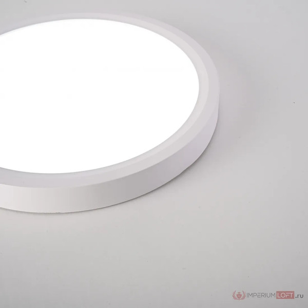 Изображение товара Потолочный светильник Imperiumloft SLIM01 / 141008-26