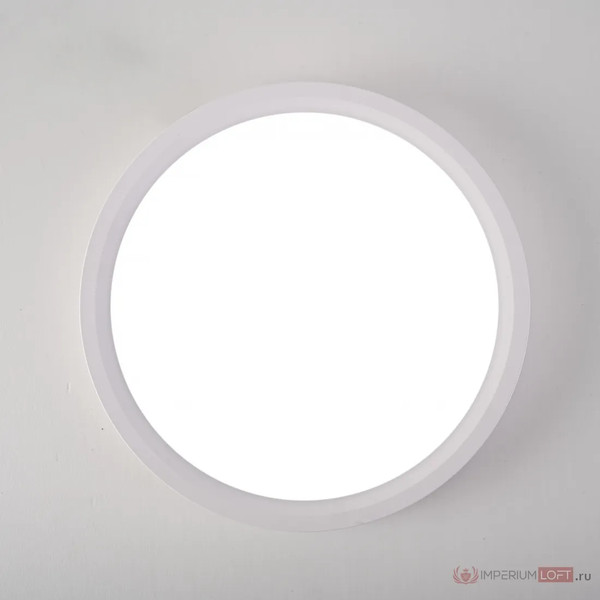Изображение товара Потолочный светильник Imperiumloft SLIM01 / 141008-26