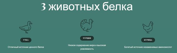 Изображение товара Сухой корм для кошек Adragna Naxos Wellness Adult утка, курица и индейка (1.5кг)