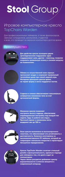 Изображение товара Кресло геймерское TopChairs Warden GF-8066-5 (черный/белый)