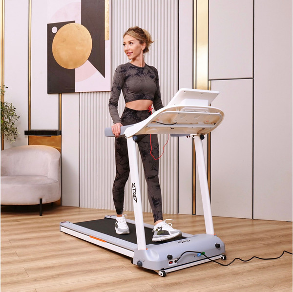 Изображение товара Электрическая беговая дорожка DFC T-ZT-Q7