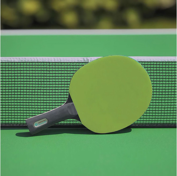 Изображение товара Ракетка для настольного тенниса Donic Schildkrot Color Z / 703020 (зеленый)