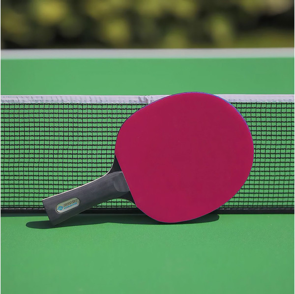 Изображение товара Ракетка для настольного тенниса Donic Schildkrot Color Z / 703021 (розовый)