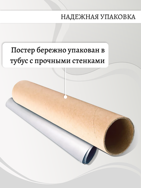 Изображение товара Постер Декарт Мостик в сосновом лесу 8П0004