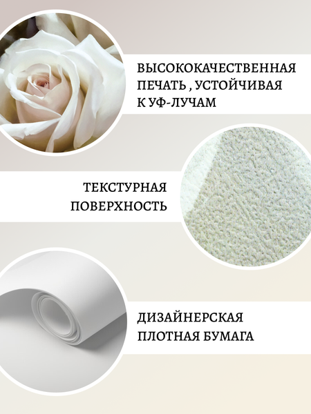 Изображение товара Постер Декарт Интерьерные розы 8П0007