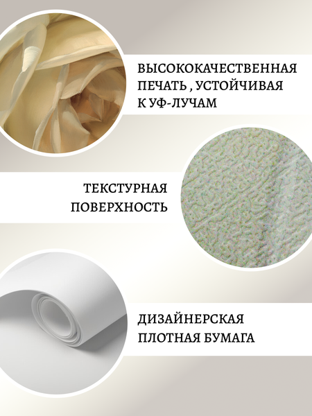 Изображение товара Постеры Декарт Цветы розы на бежевом фоне 8П0015