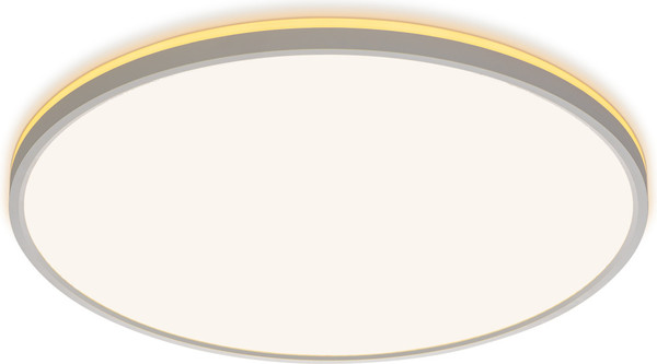 Изображение товара Потолочный светильник Citilux Norma CL748500