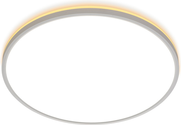 Изображение товара Потолочный светильник Citilux Norma CL748500