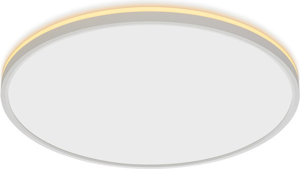 Изображение товара Потолочный светильник Citilux Norma CL748500