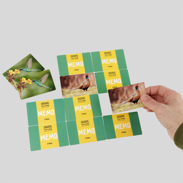 Изображение товара Настольная игра Три совы Мемо. Птицы / НИ_55047