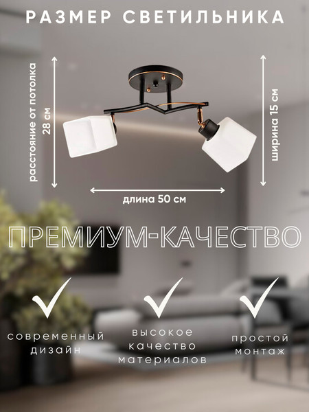 Изображение товара Спот Aitin-Pro НПБ 02-2x60-101 / 1338/2 (черный/золото)