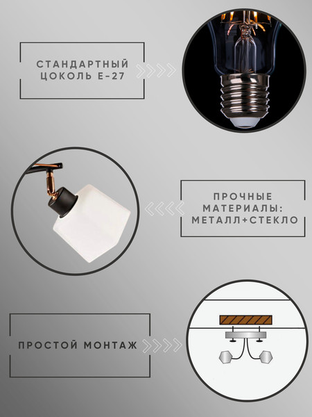 Изображение товара Спот Aitin-Pro НПБ 02-2x60-101 / 1338/2 (черный/золото)