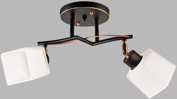 Изображение товара Спот Aitin-Pro НПБ 02-2x60-101 / 1338/2 (черный/золото)