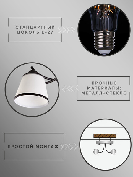 Изображение товара Потолочный светильник Aitin-Pro НПБ 02-2x60-101 / 1498/2 (черный)