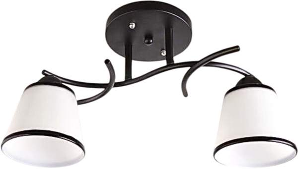 Изображение товара Потолочный светильник Aitin-Pro НПБ 02-2x60-101 / 1498/2 (черный)