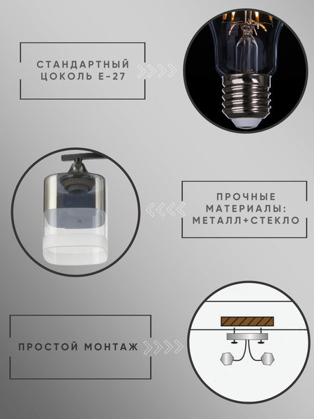 Изображение товара Потолочный светильник Aitin-Pro НПБ 02-2x60-101 / 5015/2 (черный/хром)