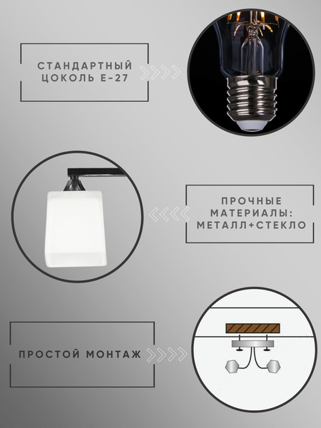 Изображение товара Потолочный светильник Aitin-Pro НПБ 02-2x60-101 / 5017/2 (черный/хром)