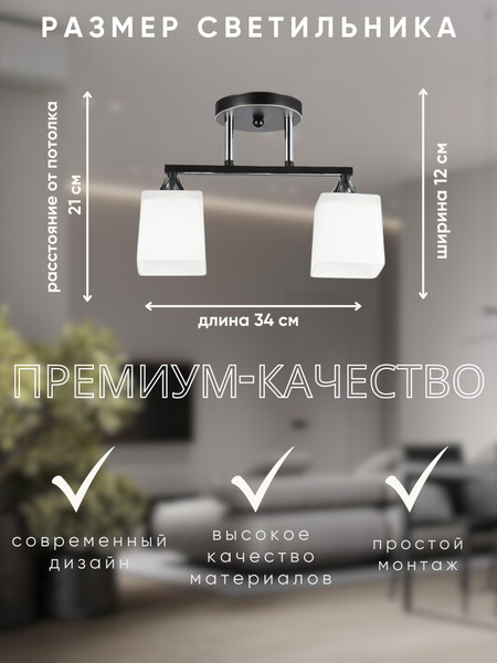 Изображение товара Потолочный светильник Aitin-Pro НПБ 02-2x60-101 / 5017/2 (черный/хром)