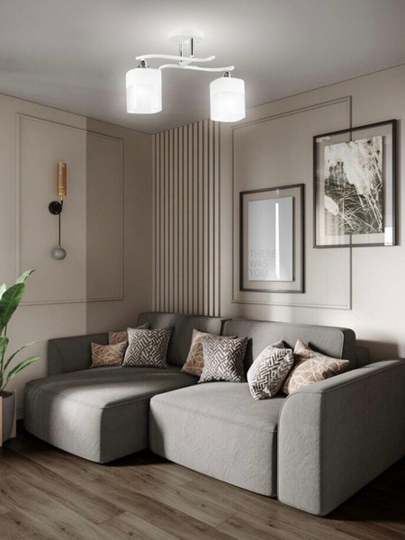 Изображение товара Потолочный светильник Aitin-Pro НПБ 02-2x60-101 / 5024/2 (белый/хром)