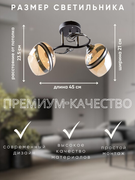 Изображение товара Потолочный светильник Aitin-Pro НПБ 02-2x60-101 / 5724/2 (черный/хром)