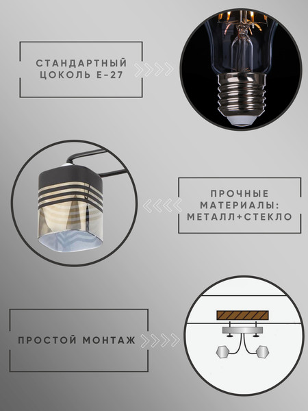 Изображение товара Потолочный светильник Aitin-Pro НПБ 02-2x60-101 / 70205/2 (черный/хром)