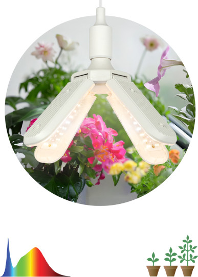 Изображение товара Светильник для растений ЭРА FITO-36W-Rа90-E27-FOLD / Б0061430