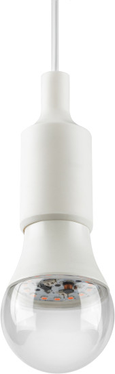 Изображение товара Лампа для растений ЭРА Green Line Фито A60-15W-PL-E27-GR / Б0064548