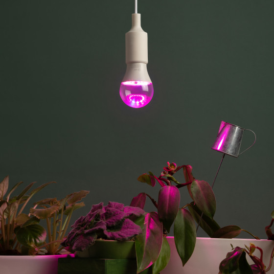 Изображение товара Лампа для растений ЭРА Green Line Фито A60-15W-PL-E27-GR / Б0064548