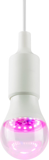 Изображение товара Лампа для растений ЭРА Green Line Фито A60-15W-PL-E27-GR / Б0064548